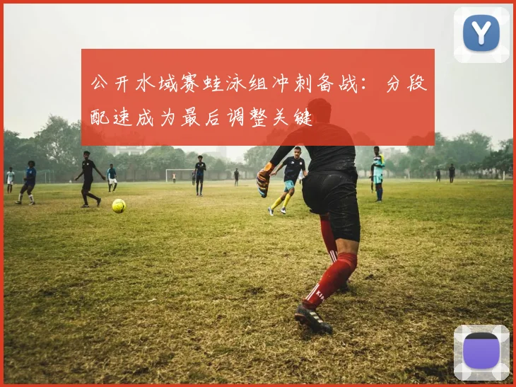 公开水域赛蛙泳组冲刺备战：分段配速成为最后调整关键