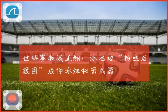 世锦赛激战正酣，泳池边“粉丝后援团”成仰泳组秘密武器
