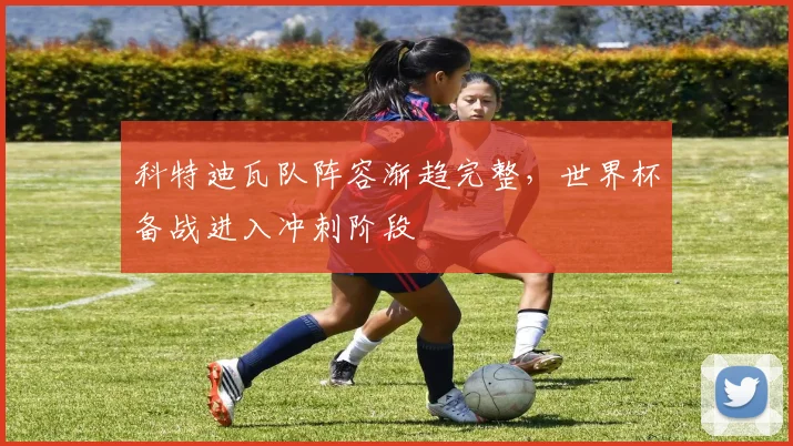 科特迪瓦队阵容渐趋完整，世界杯备战进入冲刺阶段