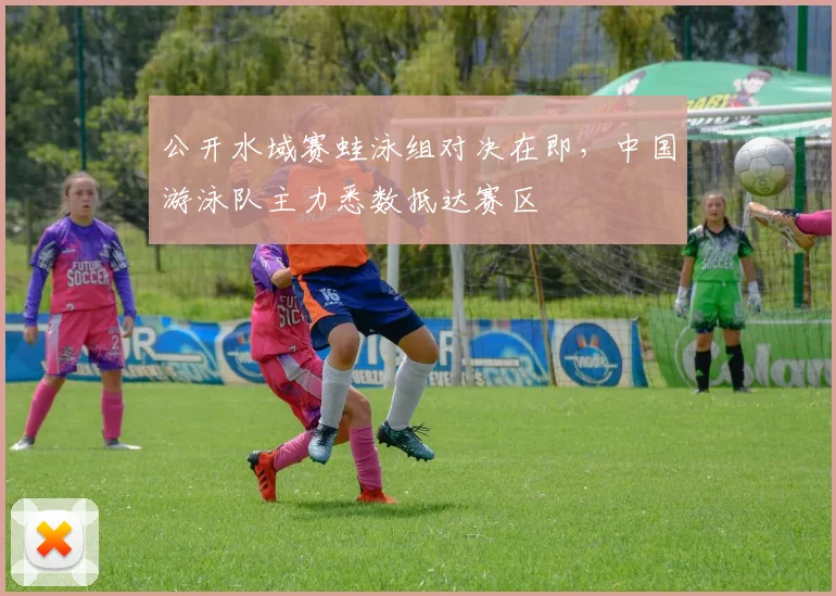 公开水域赛蛙泳组对决在即,中国游泳队主力悉数抵达赛区